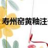 壽州窯黃釉注子（關于壽州窯黃釉注子簡介）