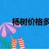 楊樹價格多少錢一方2022（楊樹價格）