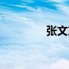 張文東（關于張文東介紹）