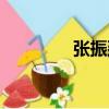 張振廷（關于張振廷介紹）