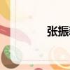 張振新（關于張振新介紹）
