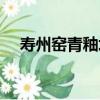 壽州窯青釉壇（關于壽州窯青釉壇簡介）