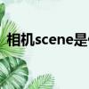 相機scene是什么意思（scene是什么意思）