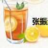 張振濤（關于張振濤介紹）
