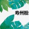 壽州粉皮（關于壽州粉皮簡介）