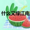 什么又綠江南岸明月合奏（什么又綠江南岸）