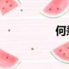 何慧兒 教案（何慧兒）