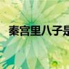 秦宮里八子是什么位分（八子是什么位分）