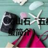 壽山石“五福堂”璽（關于壽山石“五福堂”璽簡介）