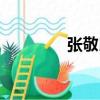 張敬民（關于張敬民介紹）