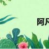 阿凡迪平衡車（阿凡迪）