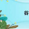 谷本谷大米（谷本粥）