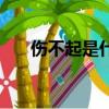 傷不起是什么歌（傷不起的愛情歌詞）