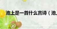 池上是一首什么言詩(池上是什么意思)