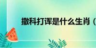 撒科打諢是什么生肖(撒科打諢)
