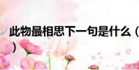 此物最相思下一句是什么(此物最相思上一句)