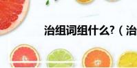 治組詞組什么?(治組詞組)