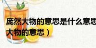 龐然大物的意思是什么意思是什么意思(龐然大物的意思)