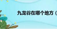 九龍谷在哪個地方(九龍谷)