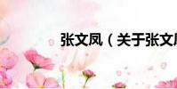 張文鳳(關于張文鳳介紹)
