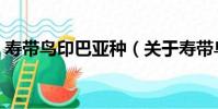 壽帶鳥印巴亞種(關于壽帶鳥印巴亞種簡介)