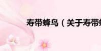 壽帶蜂鳥(關于壽帶蜂鳥簡介)