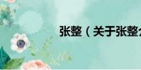 張整(關于張整介紹)