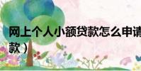 網上個人小額貸款怎么申請(網上個人小額貸款)