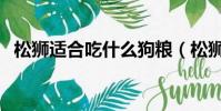 松獅適合吃什么狗糧(松獅吃什么狗糧好)