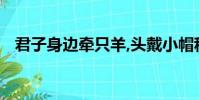 君子身邊牽只羊,頭戴小帽稱大王猜四個字