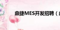 鼎捷MES開發招聘(鼎捷MES)