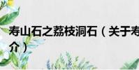 壽山石之荔枝洞石(關于壽山石之荔枝洞石簡介)