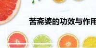 苦齋婆的功效與作用(苦主)