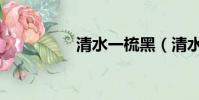 清水一梳黑(清水漢方)