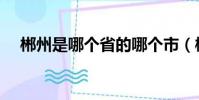 郴州是哪個省的哪個市(郴州是哪個省)