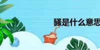 騷是什么意思?