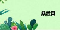 桑孟真