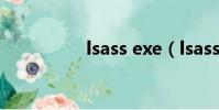 lsass exe(lsass exe)