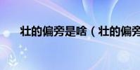 壯的偏旁是啥(壯的偏旁叫什么名字)