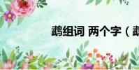 鵡組詞 兩個字(鵡組詞)