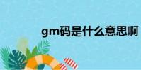 gm碼是什么意思啊(gm碼)