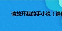 請放開我的手小說(請放開我的手)