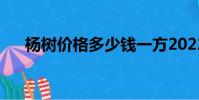 楊樹價格多少錢一方2022(楊樹價格)