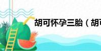 胡可懷孕三胎(胡可懷孕)