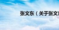 張文東(關于張文東介紹)