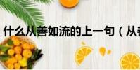 什么從善如流的上一句(從善如流的下一句)