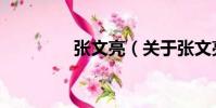 張文亮(關于張文亮介紹)
