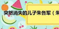 突然消失的兒子朱各軍(朱軍的弱智兒子)