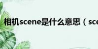 相機scene是什么意思(scene是什么意思)