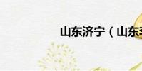 山東濟寧(山東李寧)